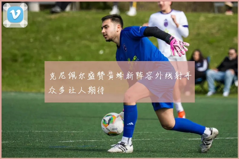 克尼佩尔盛赞黄蜂新阵容外线射手众多让人期待